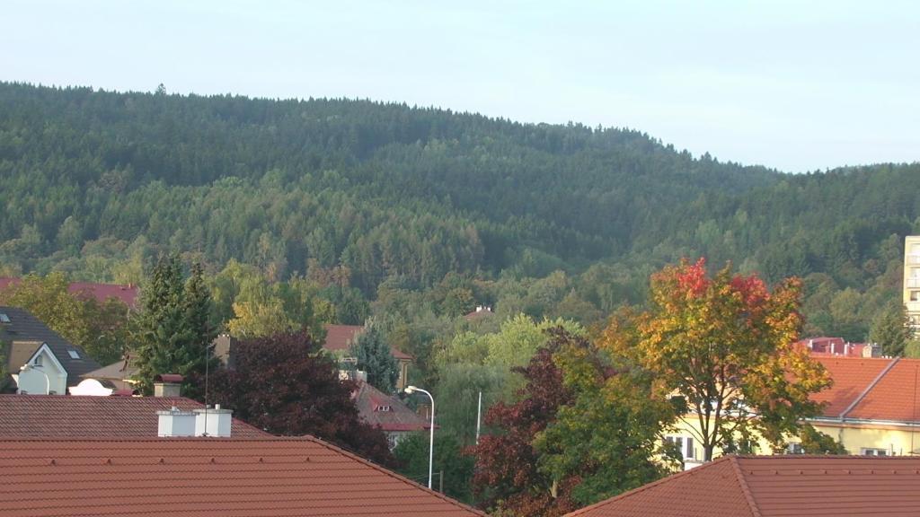 Apartments Meixner Mariánské Lázně Exteriör bild
